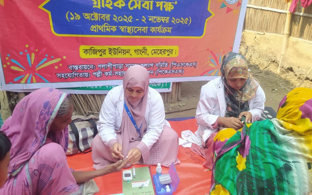 প্রাথমিক স্বাস্থ্যসেবা কার্যক্রম