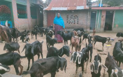 একজন সফল নারী উদ্যোক্তা ”মোছাঃ মনোয়ারা খাতুন”