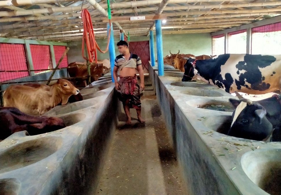 “যে ঝুঁকি নিতে ভয় পায়, সাফল্য তার জন্য নয়”