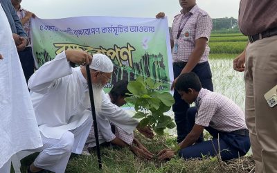 একটি শিশুর মতো বেড়ে উঠুক একটি বৃক্ষ